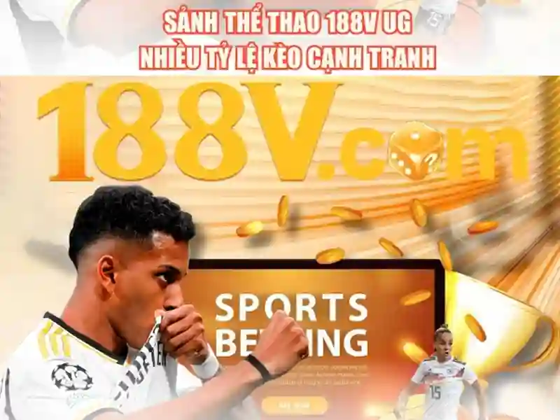 Bull Bull trực tuyến